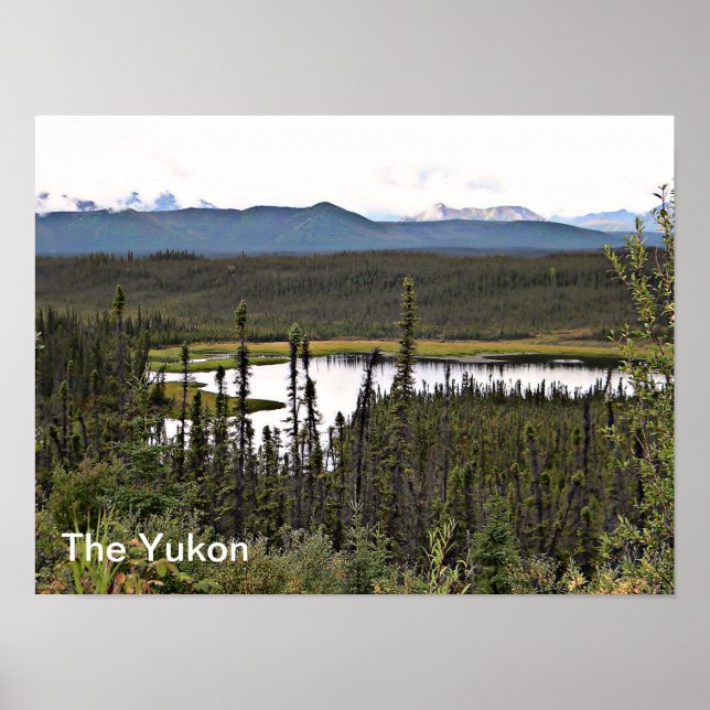 Yukon Pond Poster (Framsidan)