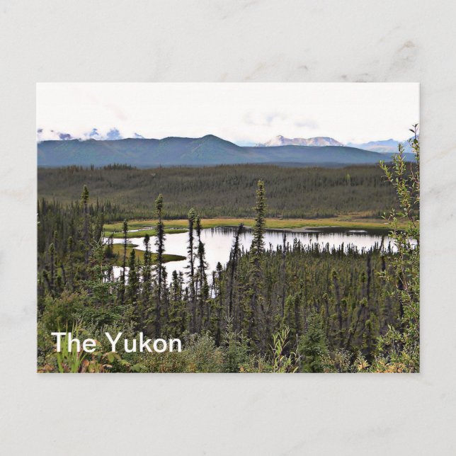 Yukon Pond Vykort (Framsida)