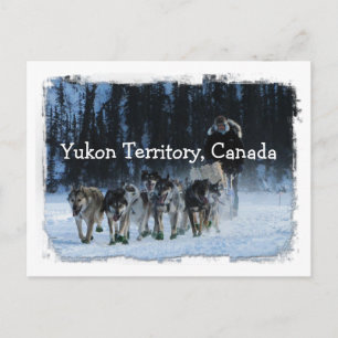 Yukon Quest Dogsled Team Yukon Territory, Kanada Vykort