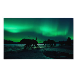 Yukon Quest Magic Fototryck