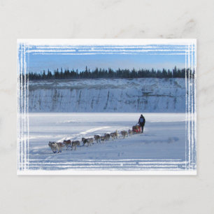 Yukon Quest Team Vykort