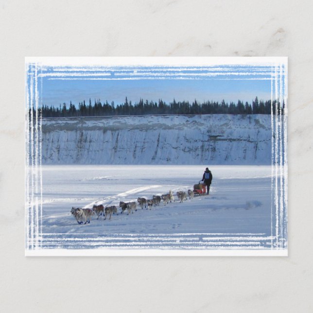 Yukon Quest Team Vykort (Framsida)
