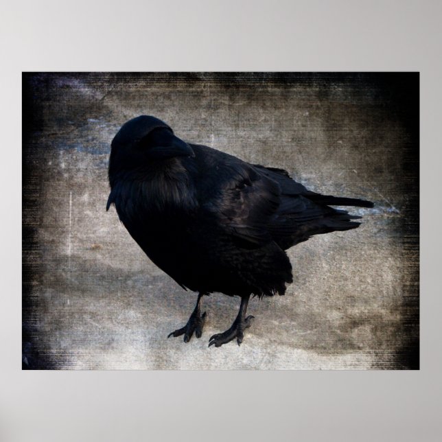 Yukon Raven Grunge Poster (Framsidan)