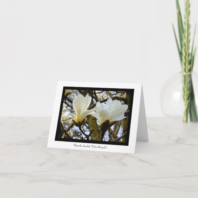 Yulan Magnolia Stationary Hälsning Note Card Kort (Framsida)