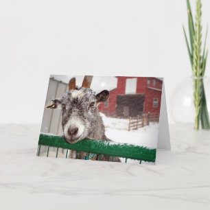 Yule get helgkort