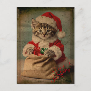 'Yuletide Yawn' Glamorösa Katten Jul Vykort