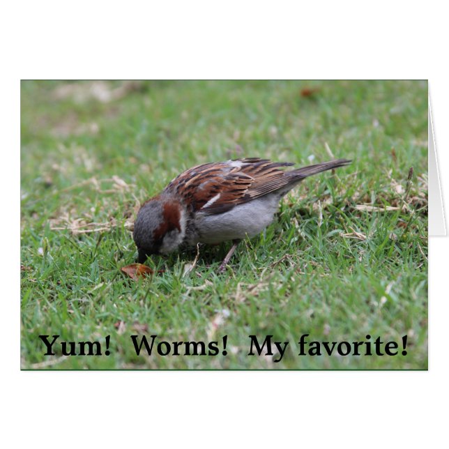 Yum!  Maskar! Hälsningskort (Framsidan Horizontal)