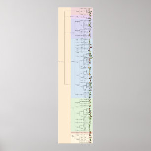 Yumets Träd: Plantae Poster