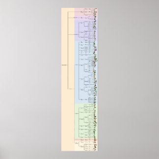 Yumets Träd: Plantae Poster