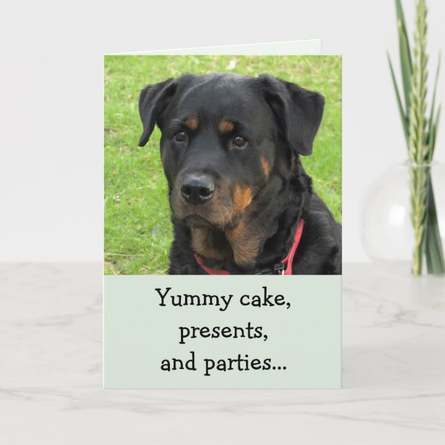 Yummy Cake Rottweiler-födelsedagskort Kort (Framsida)