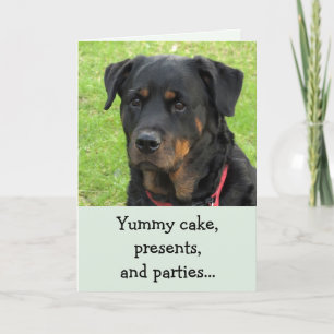Yummy Cake Rottweiler-födelsedagskort Kort