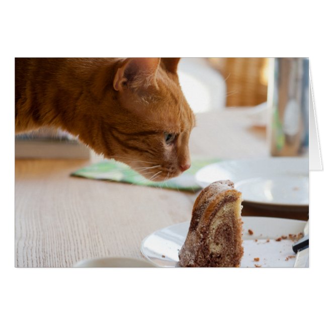 Yummy Guglhupf OBS Kort (Framsidan Horizontal)