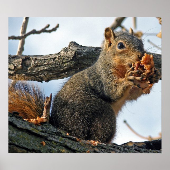 Yummy i min tummy poster (Framsidan)