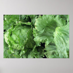 Yummy Iceberg-sallat Poster