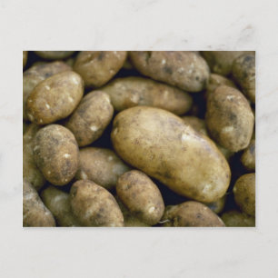 Yummy Potatis Vykort