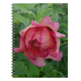 Yummy Rosa Blooming Peony Anteckningsbok
