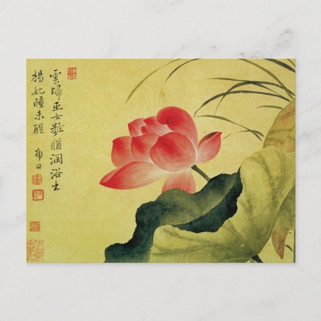 Yun Shouping's Lotus Flower Vykort (Framsida)