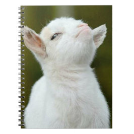 Yup Anteckningsbok