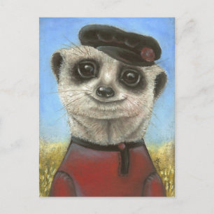 Yuri the meerkat vykort