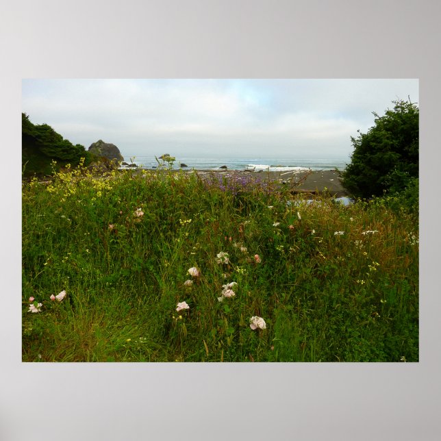 Yurok Loop Trail at Redwood National Park Poster (Framsidan)