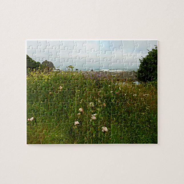 Yurok Loop Trail at Redwood National Park Pussel (Horisontell)