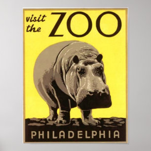 Z00 - Hippo Poster
