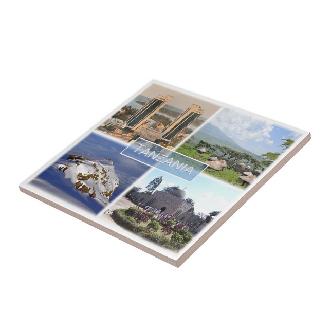 Z016 TANZANIA, Mosaic, Afrika Kakelplatta (Sidan)