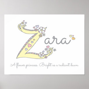 Z för Zara initial klotter konst namn betydelse Poster