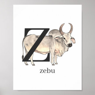 Z för Zebu Poster