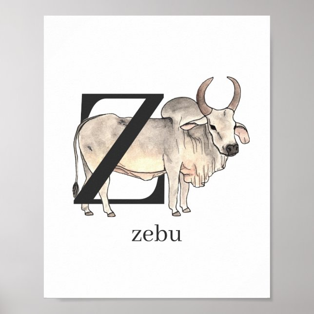 Z för Zebu Poster (Framsidan)