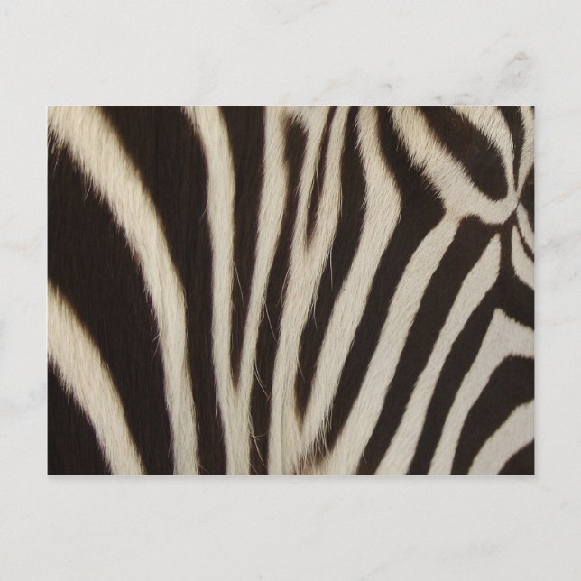 Z-randar Vykort (Framsida)