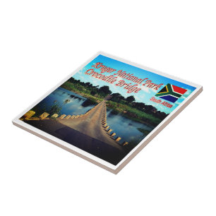 ZA003 KRUGEN N.P. South Afrika, Crokodile Kakelplatta