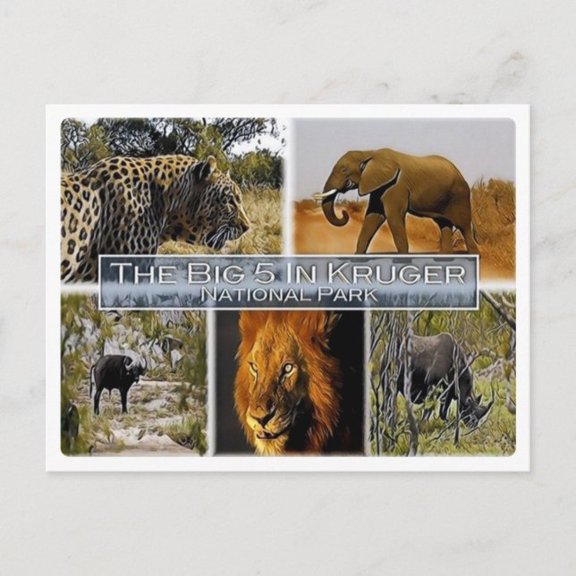 ZA * SÖDRA AFRIKAN - DE STORA 5 I KRUGER N. P. VYKORT (Framsida)
