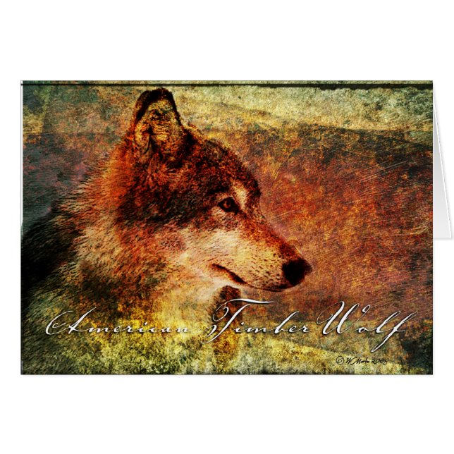 ZA-Vargen etsar Hälsningskort (Framsidan Horizontal)