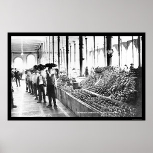 Zacatecas Mexico mat marknadsför 1904 Poster