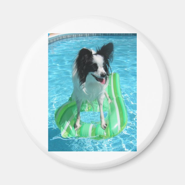 ZACH MAGNET (Framsidan)