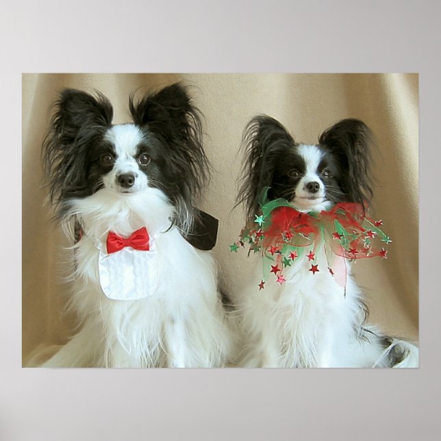 ZACH Nb CLAIRE Poster (Framsidan)