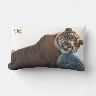 Zachariahs Har din rygg Lumbarkudde