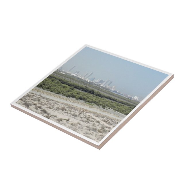 zAE009 UMM AL-QAYWAY panorama, Kakelplatta (Sidan)