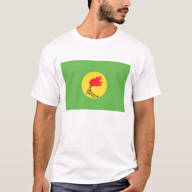 Zaire flagga (1971-1997) tee (Framsida)
