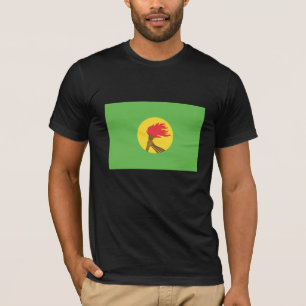 Zaire flagga tee shirt