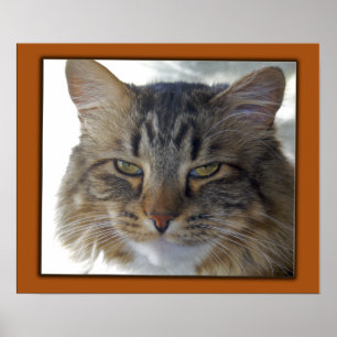 Zaks Pic Poster