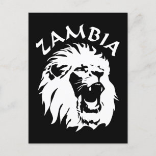 Zambia Lejon Vykort