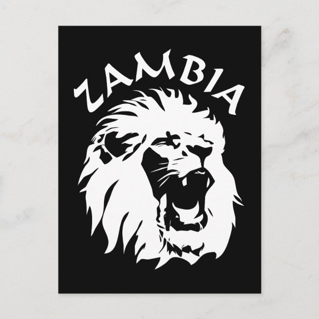 Zambia Lejon Vykort (Framsida)