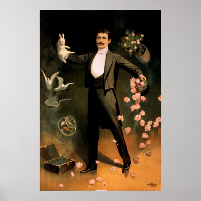 Zan Zig presterar med kanin och ro Poster (Framsidan)