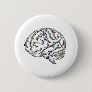 Zany Brainy Knapp