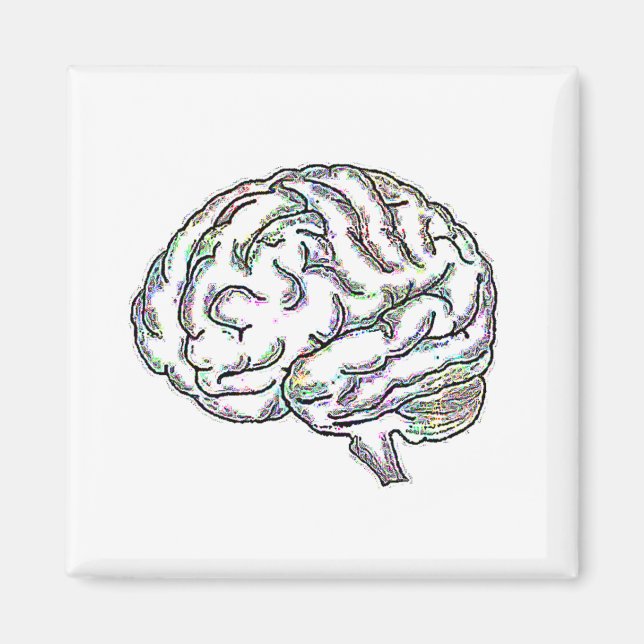 Zany Brainy Magnet (Framsidan)