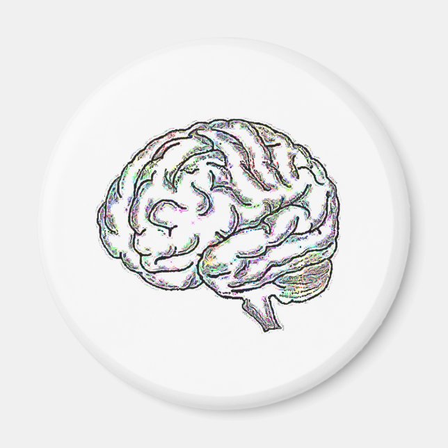 Zany Brainy Magnet (Framsidan)