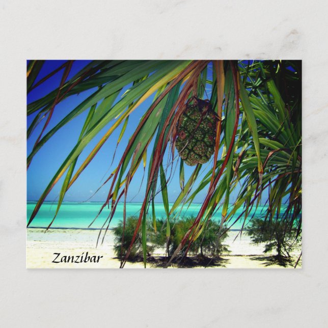 Zanzibar Beach Handflatan Träd , Afrika Postcard Vykort (Framsida)