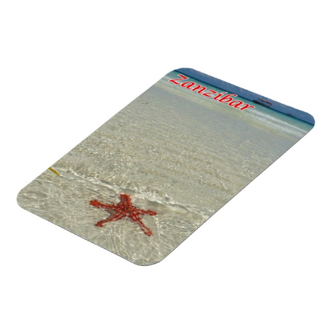 Zanzibar - Sea View - Starfish - Magnet (Vänstra Sidan)